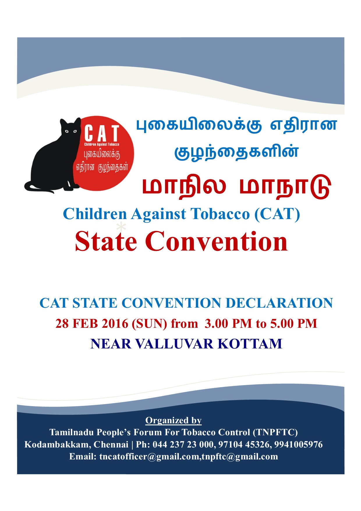 CAT-State-Convention-Declaration